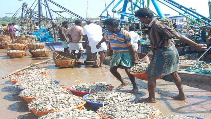 Colombo to speed up release of 114 Indian fishermen