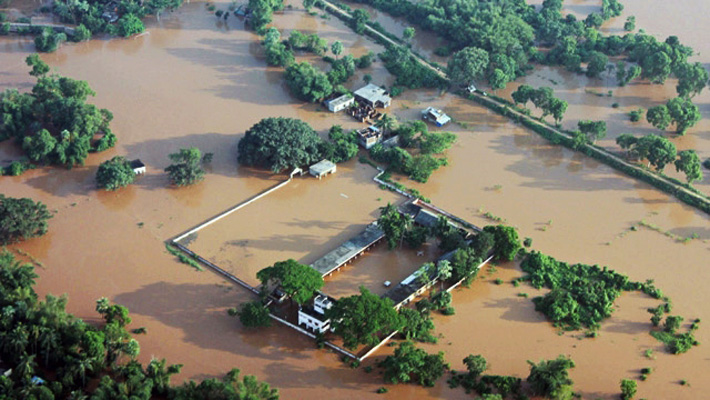 Phailin destroys around 26 lakh trees in Odisha