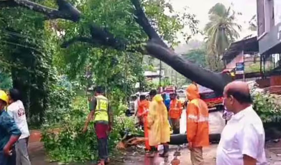 Heavy rainfall predicted in Kerala for two more days; orange alert in seven districts