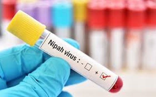 Nipah claims life of 14-year-old boy from Malappuram; preventive measures intensified